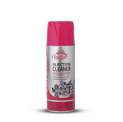 Injection cleaner(450ml)